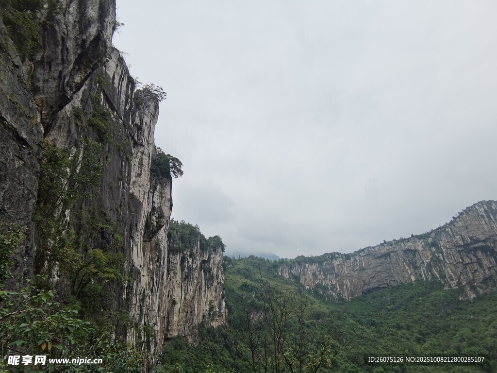 险峻山崖与葱郁植被景观