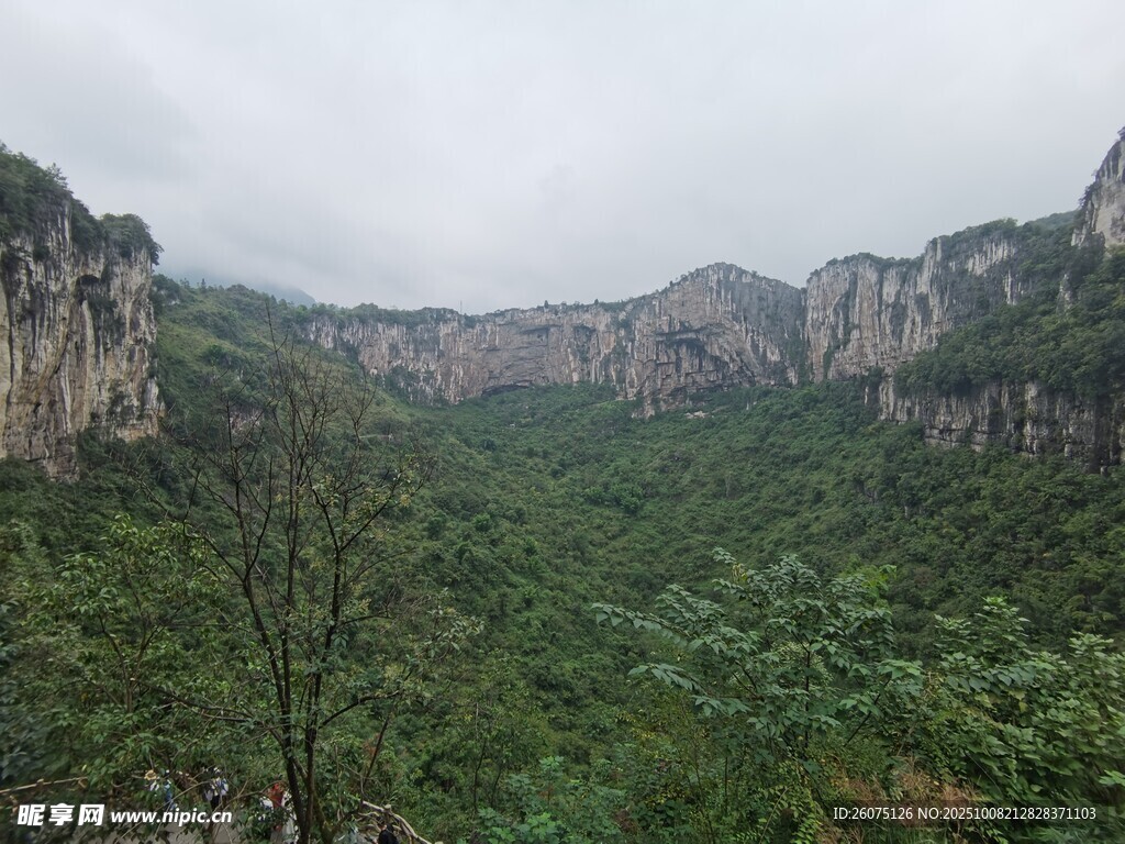 壮丽山峦间的葱郁景致