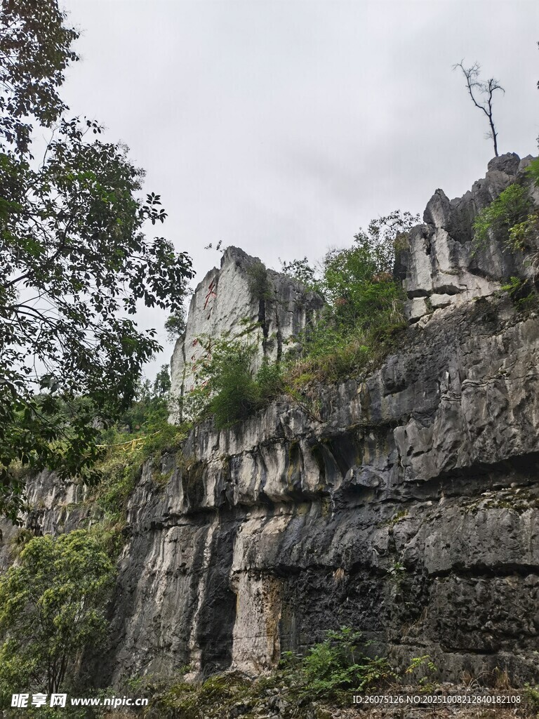 古老石砌建筑隐于绿树间