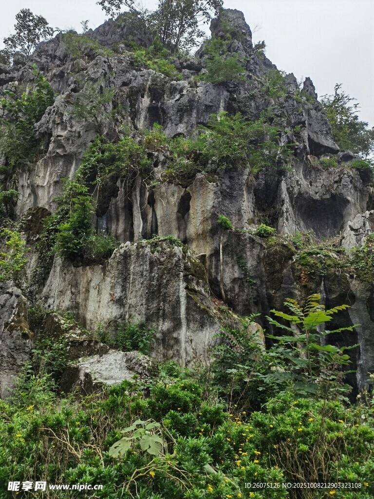 陡峭山峦与繁茂植被景观