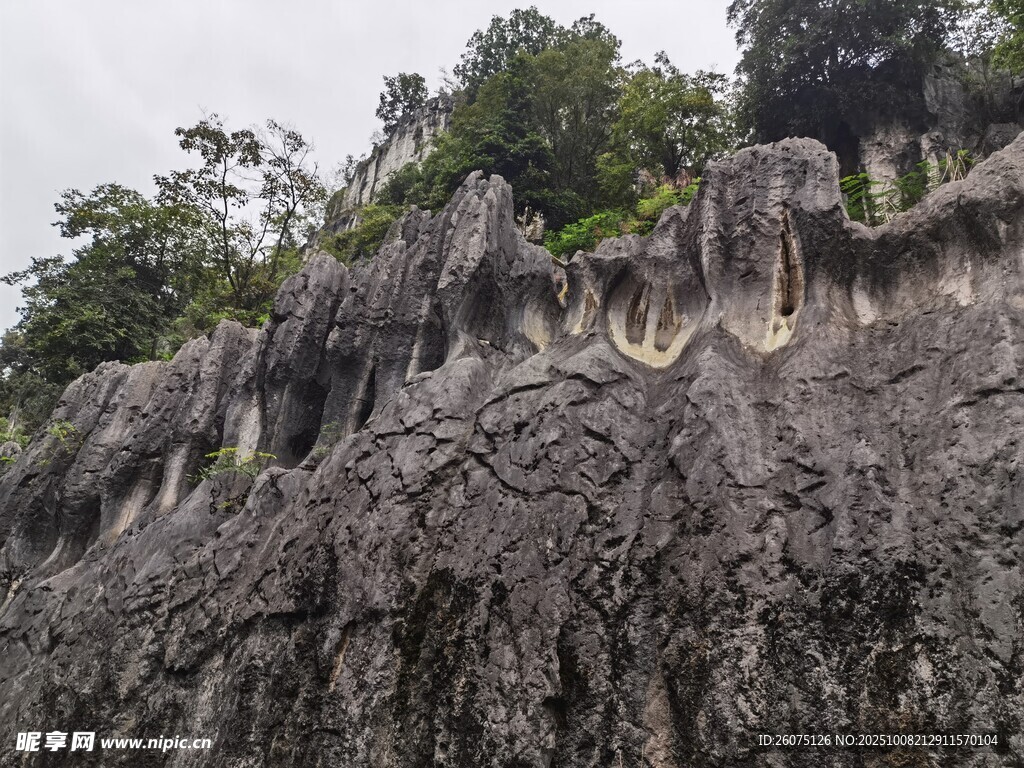 奇特岩石景观植被覆盖