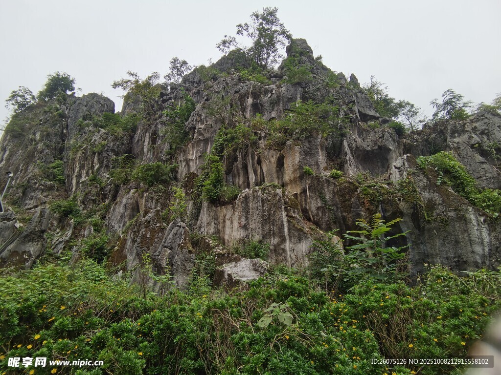 嶙峋山峰与繁茂植被