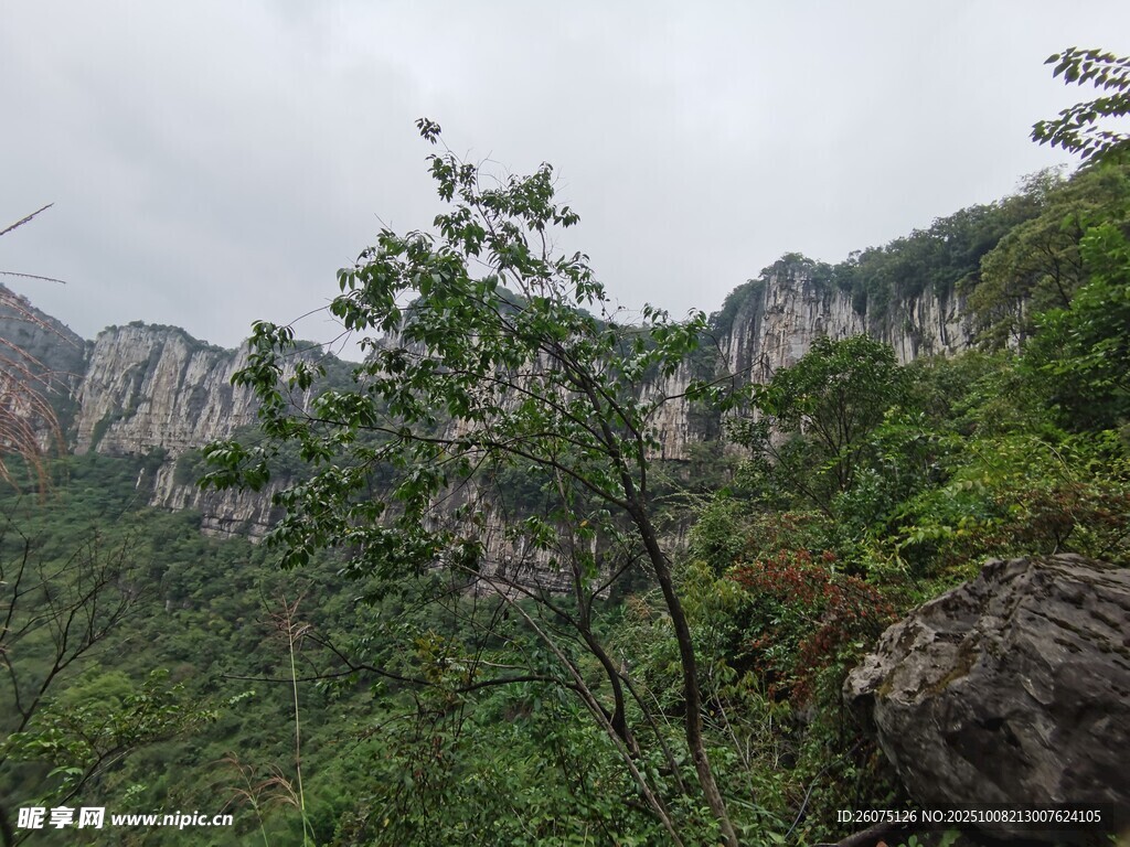 山间绿意盎然的秀丽景致