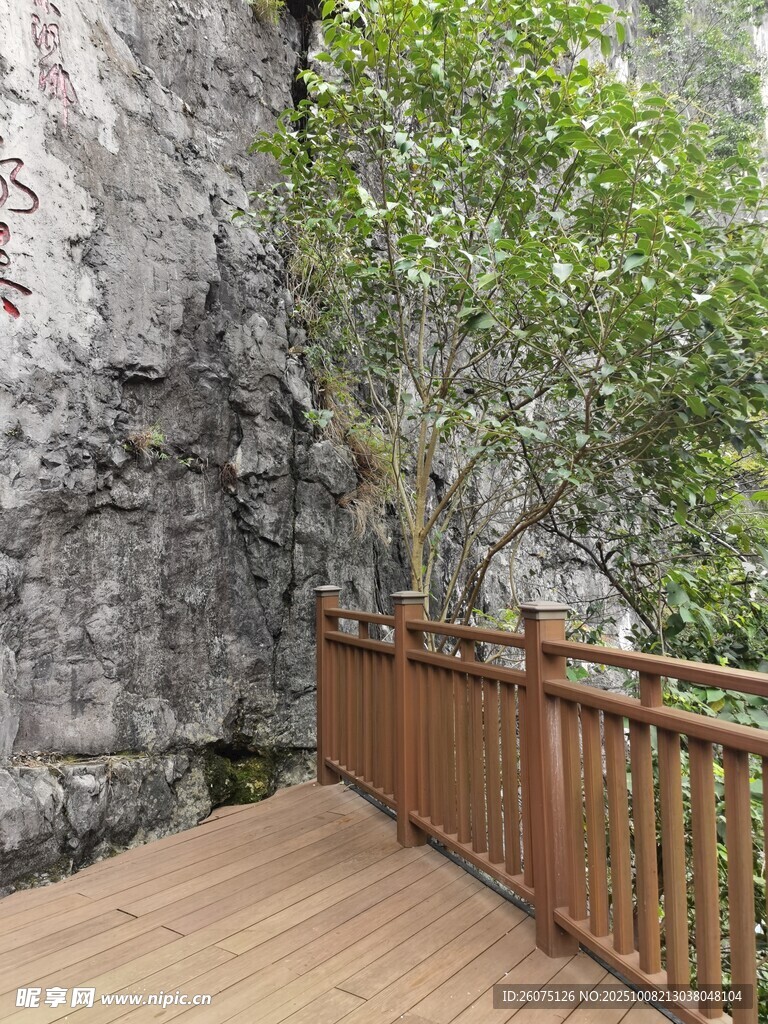 崖边木栈道旁葱郁绿树