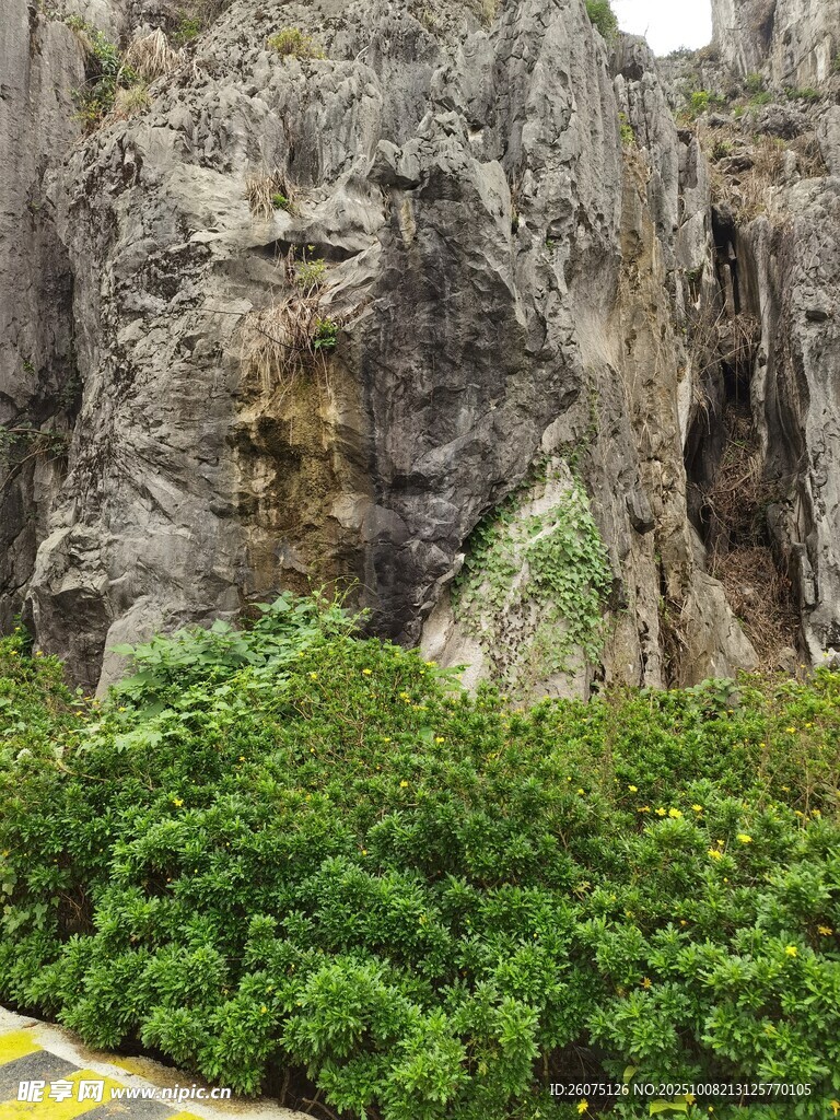 陡峭崖壁下的葱郁植被