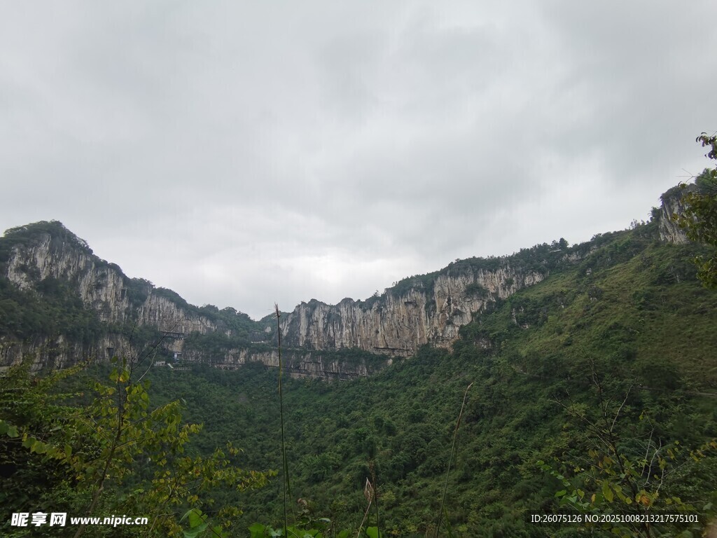 山峦叠翠间的绿意风光