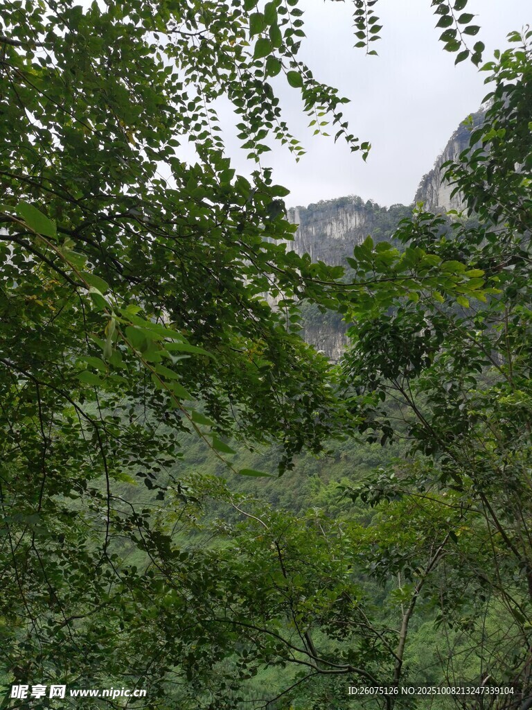 山林绿意隐现远处山峦