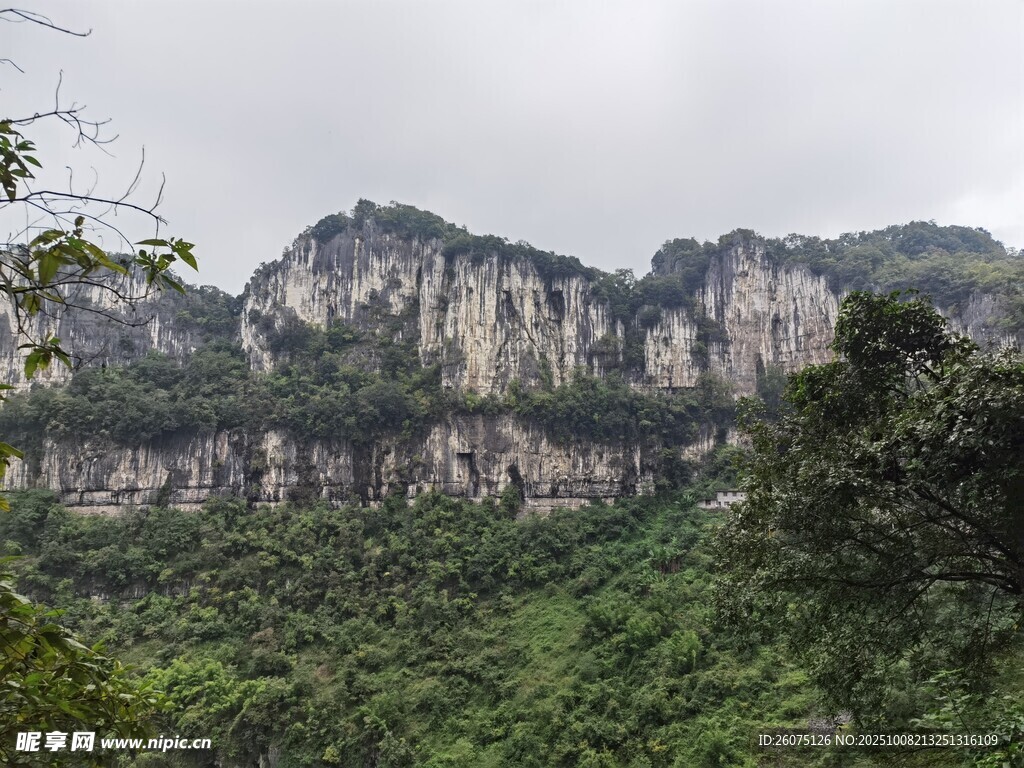 峻峭山峦与葱郁植被景观
