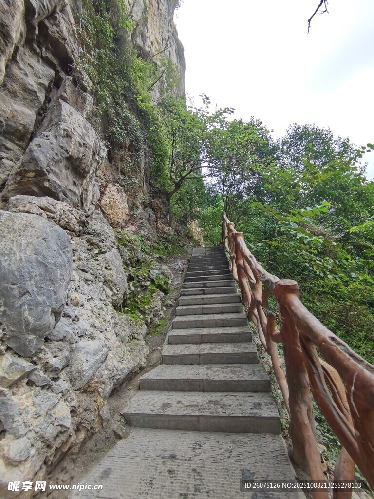 山间石阶步道自然景致