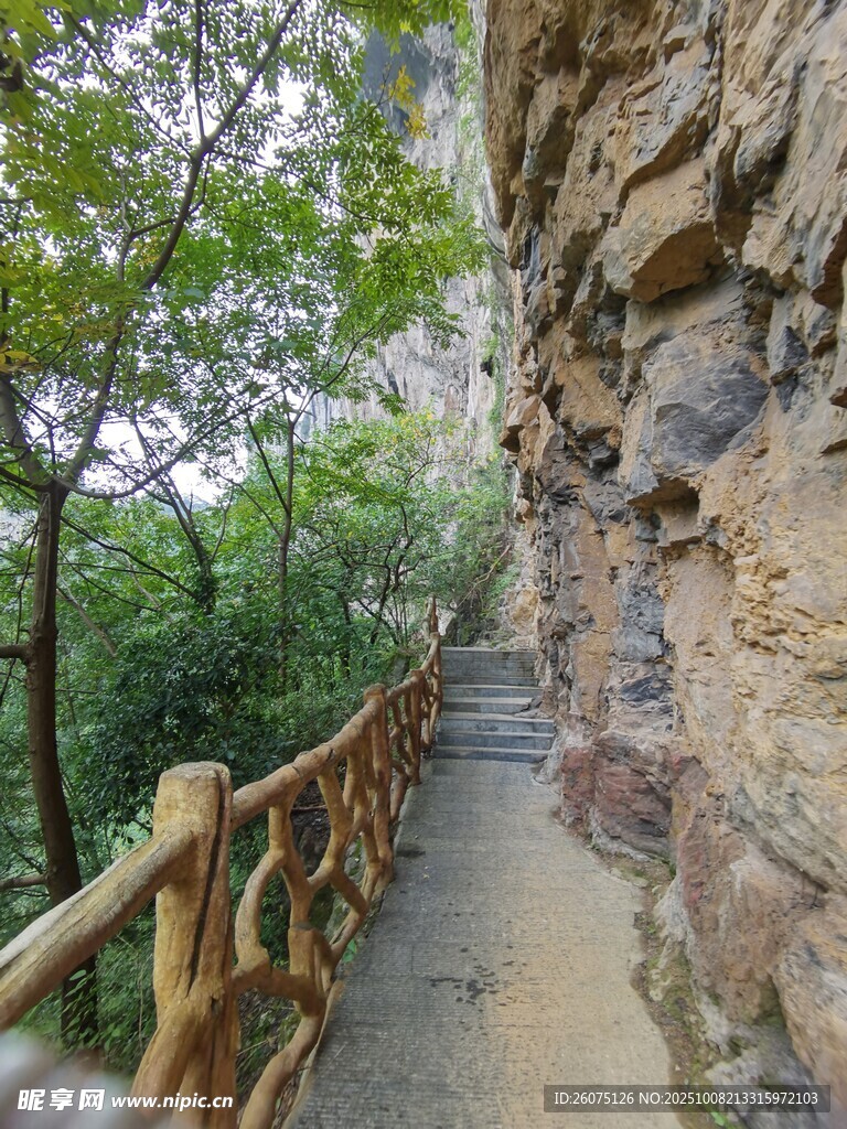 山间木质栈道旁的秀丽风景