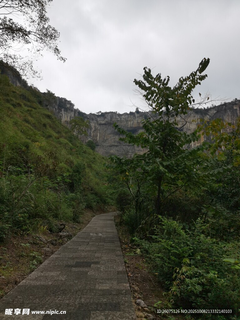 山间小径绿意环绕的步道