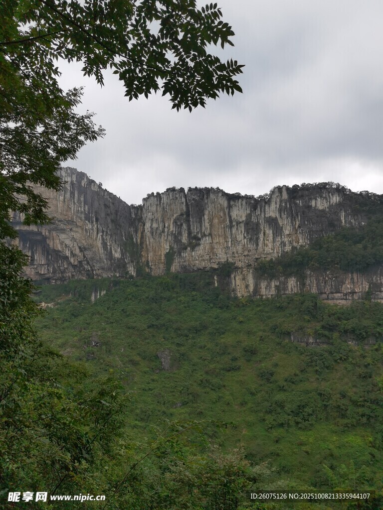 山峦绿植景观