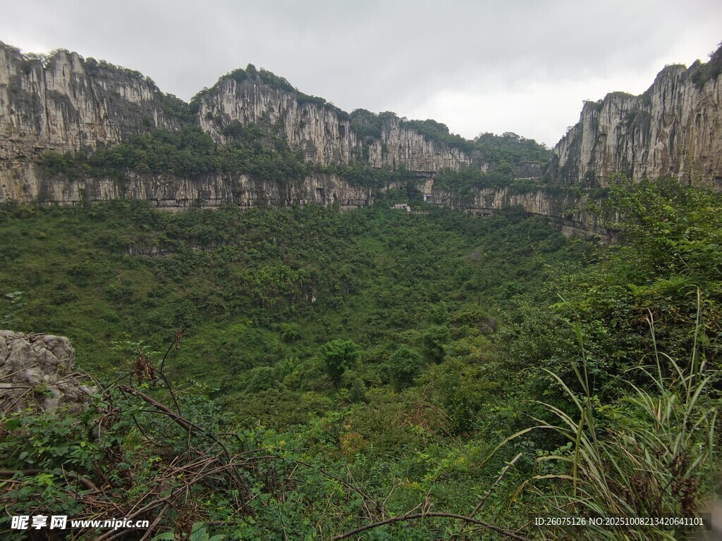 山峦绿植景观图