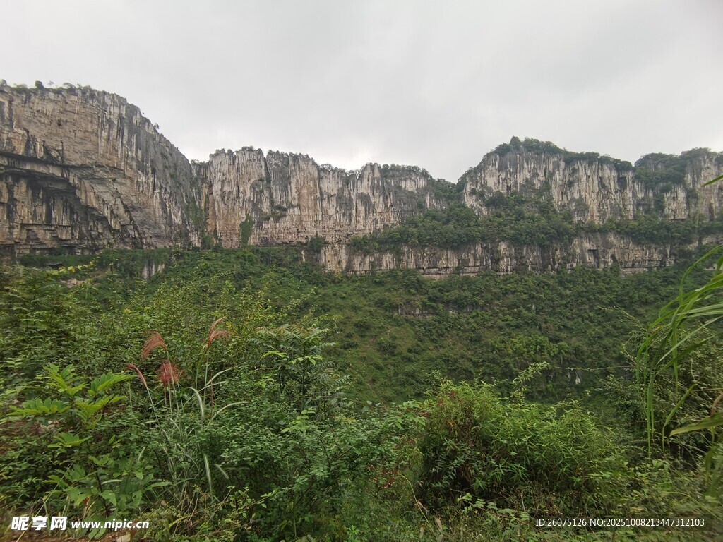 山峦叠翠间的绿意景致