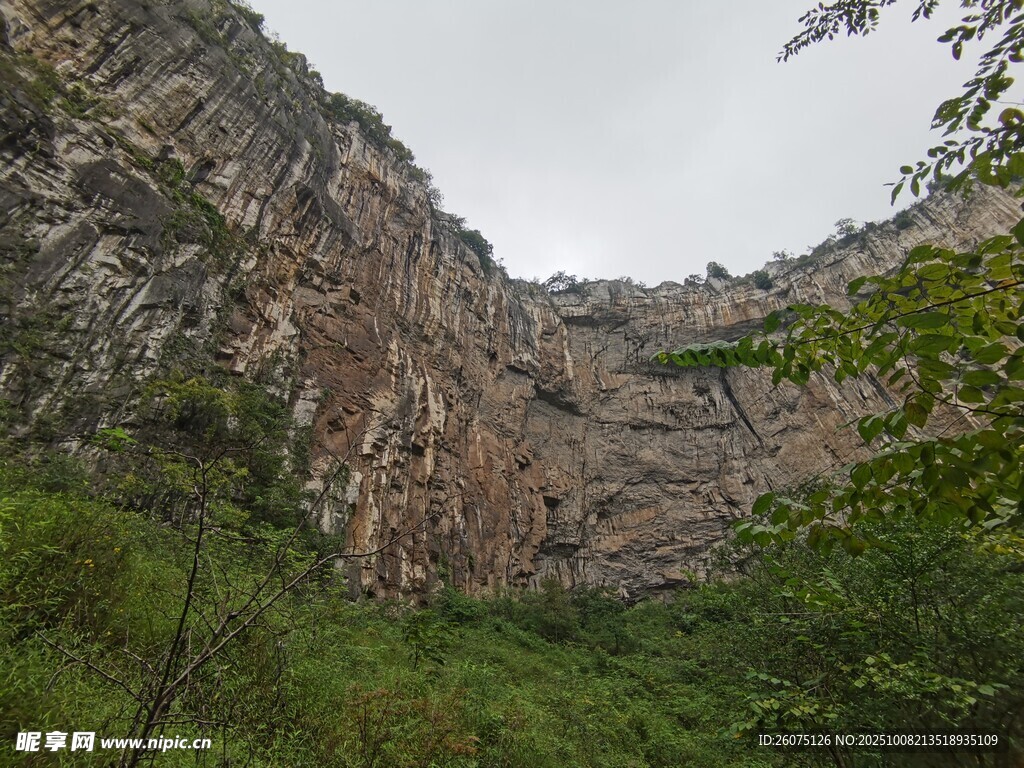 陡峭山壁旁的葱郁植被