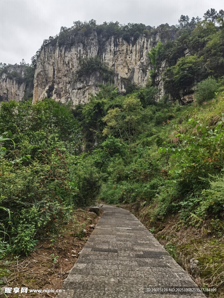 山间小径穿行于葱郁山林