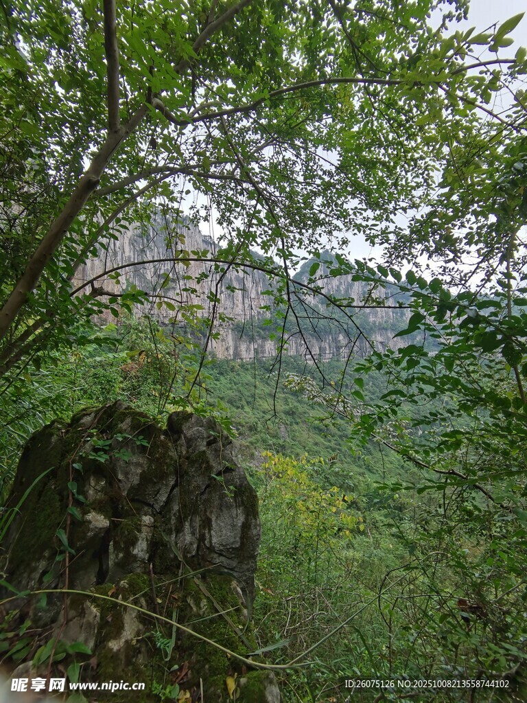 山林间的岩石与葱郁植被