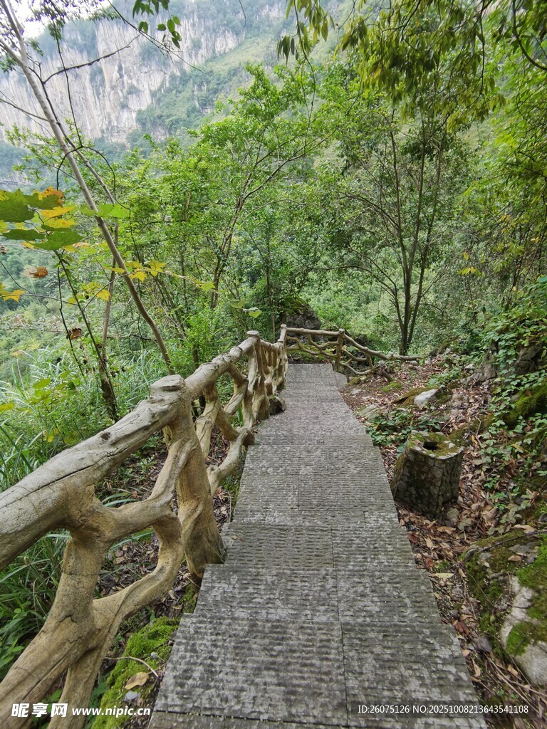 山间木栏小径绿意盎然