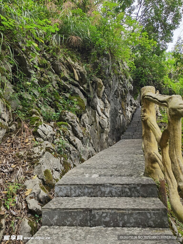 山间石阶步道绿意环绕