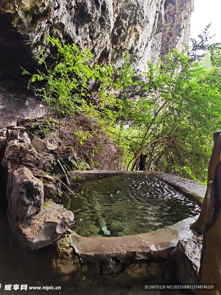 山间古泉绿意环绕之景