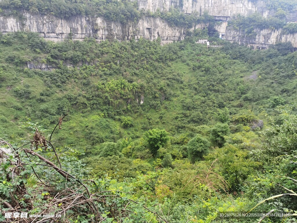 翠绿山谷间的自然美景