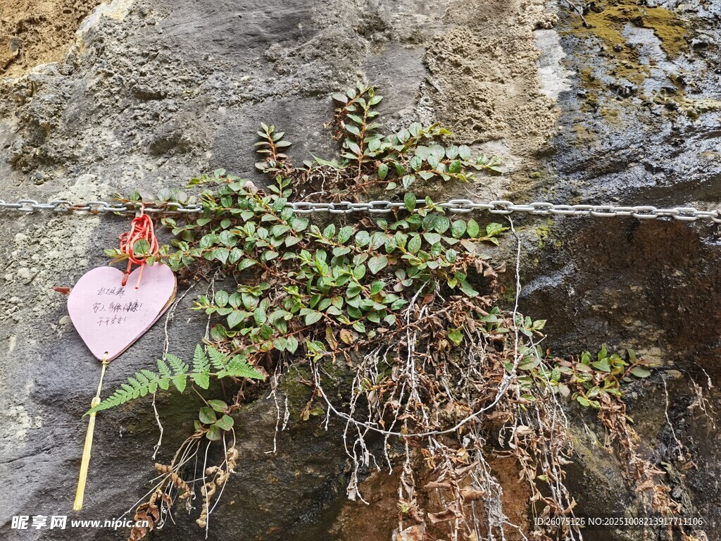 岩石上的绿植与爱心标牌