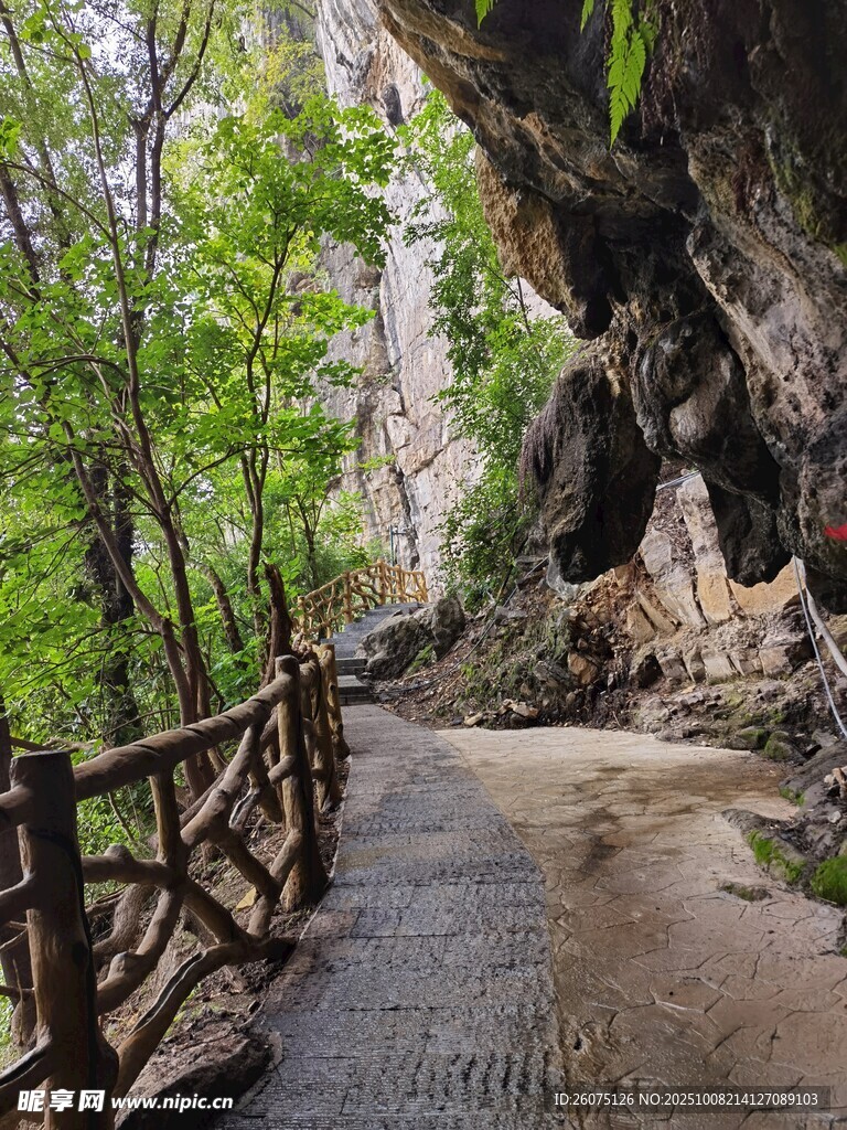 山间栈道穿行于绿树岩石间