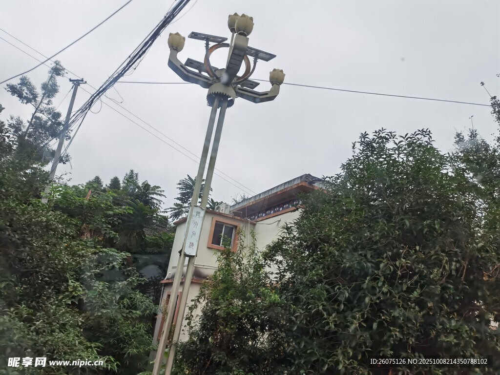 户外复古路灯立于绿植间
