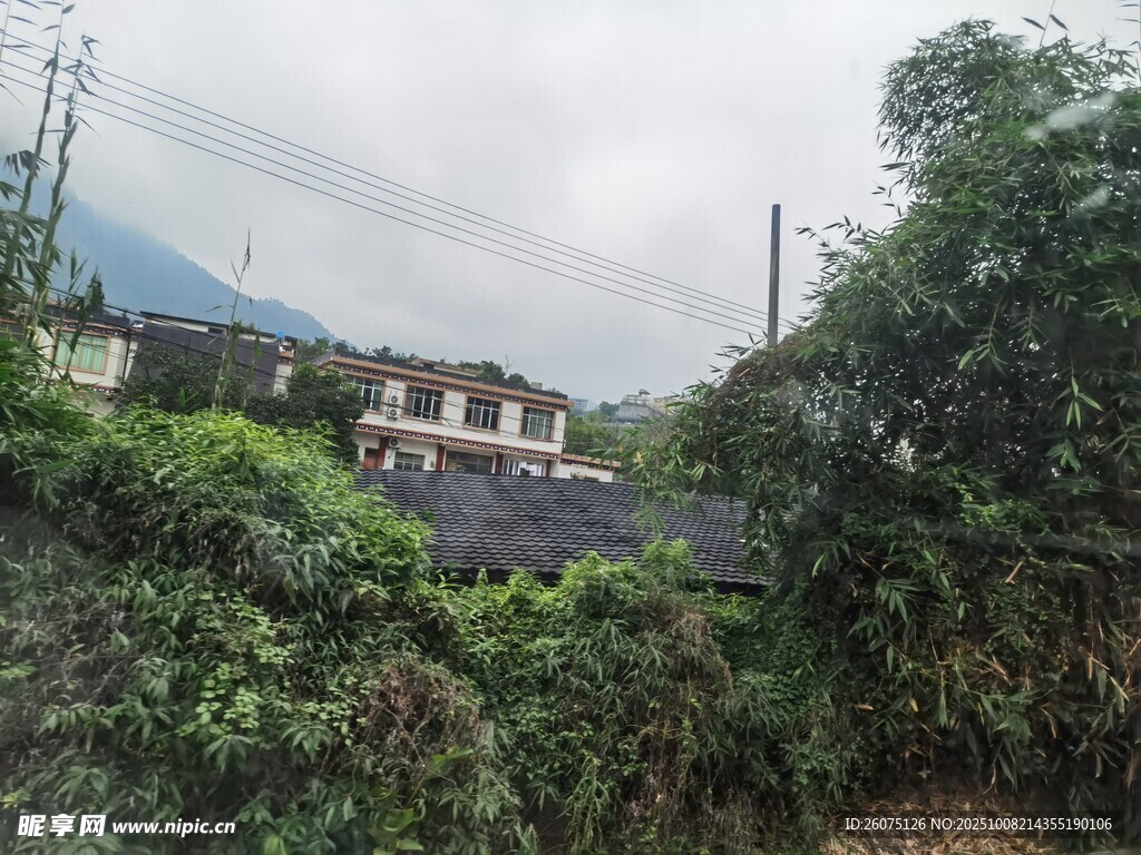 乡村绿意环绕的房屋景观
