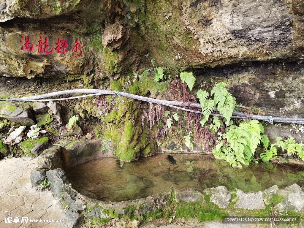 山间石缝中的清幽小水潭