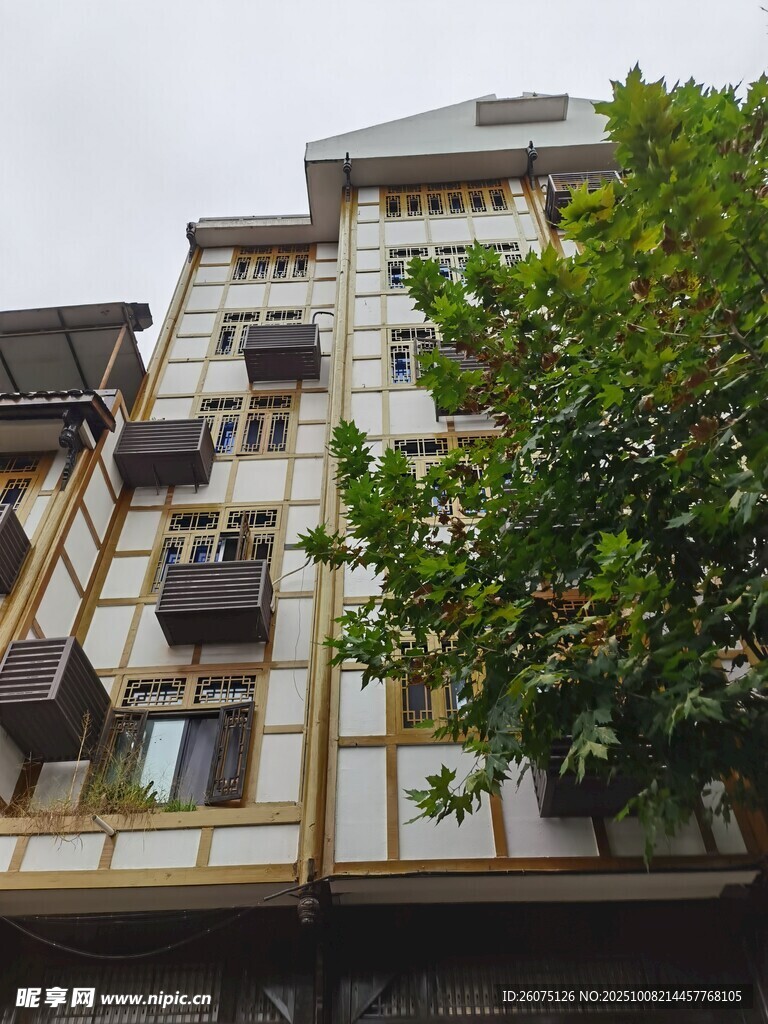 老旧居民楼旁的繁茂绿树