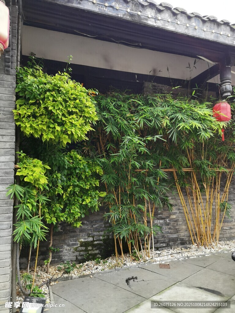 中式庭院绿植景观一角