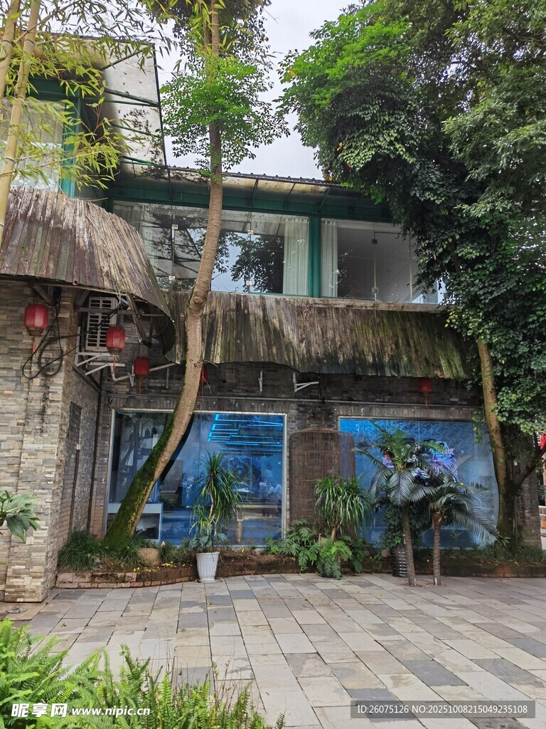 绿植环绕的特色小屋