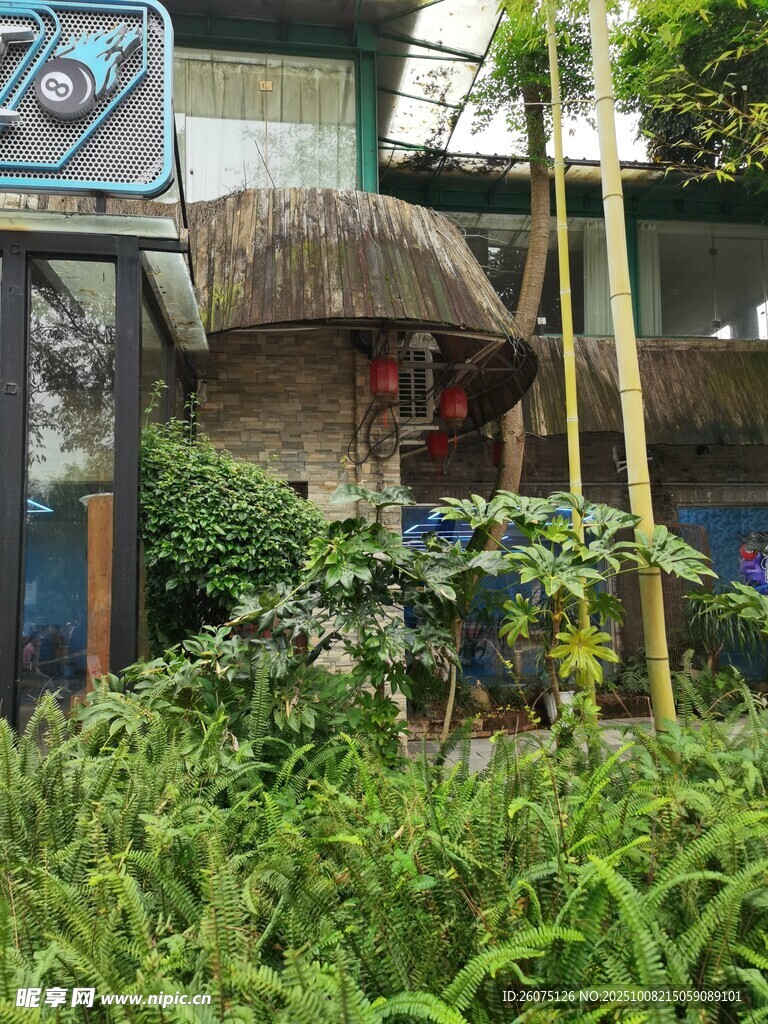 绿植环绕的小屋一角