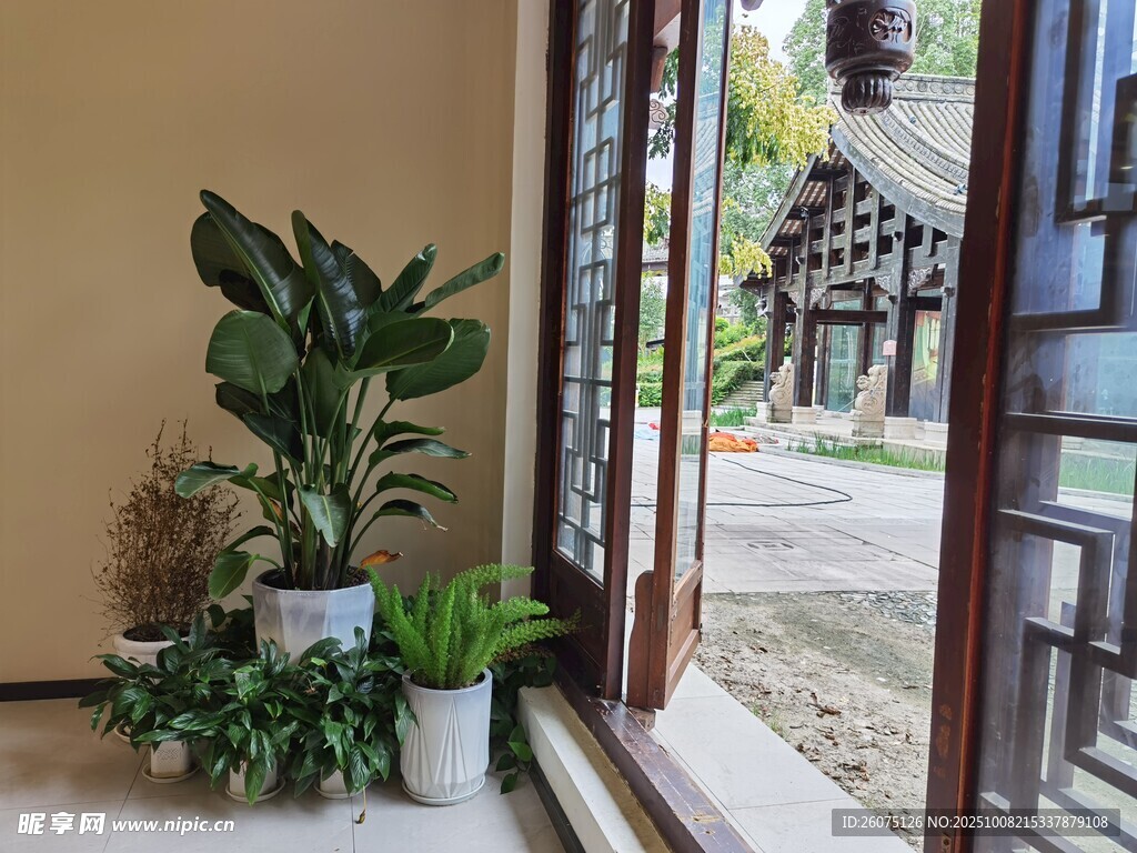 室内绿植与窗外景致