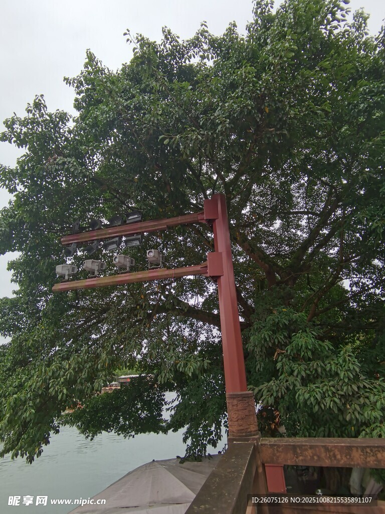 古树下的红色中式建筑景观