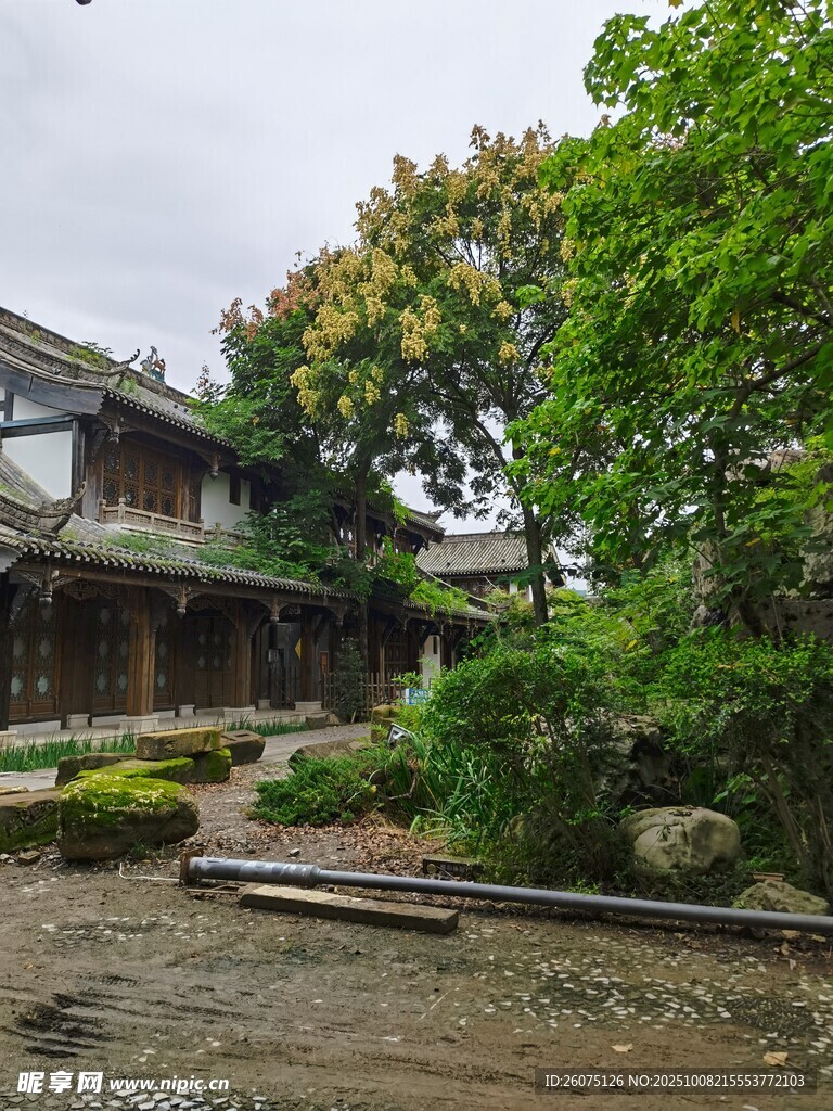 中式庭院景观绿植环绕