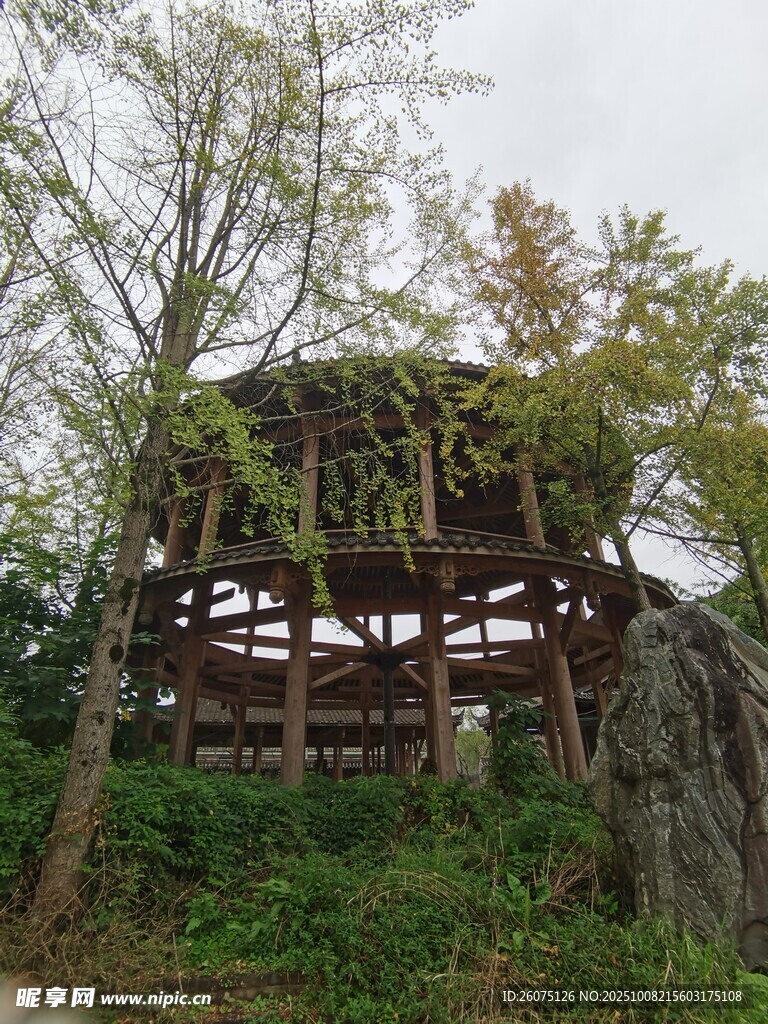 林中木质结构景观建筑