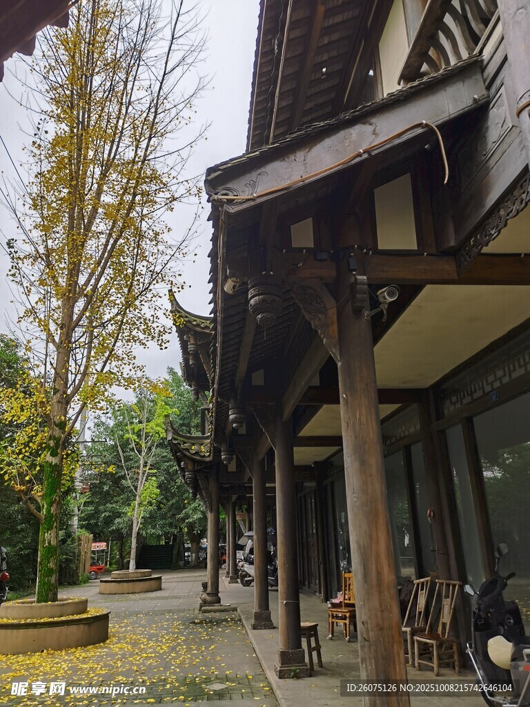 古雅木质建筑庭院景致