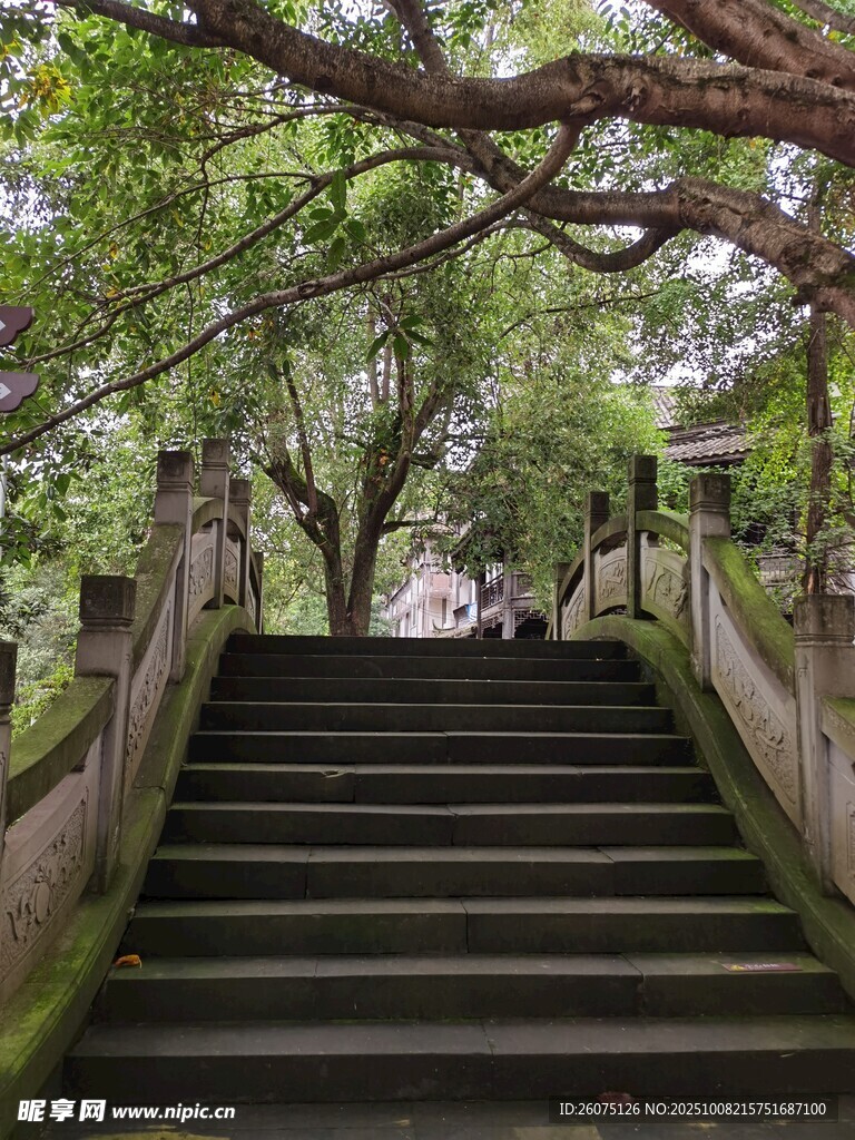 林间石阶静谧自然之景