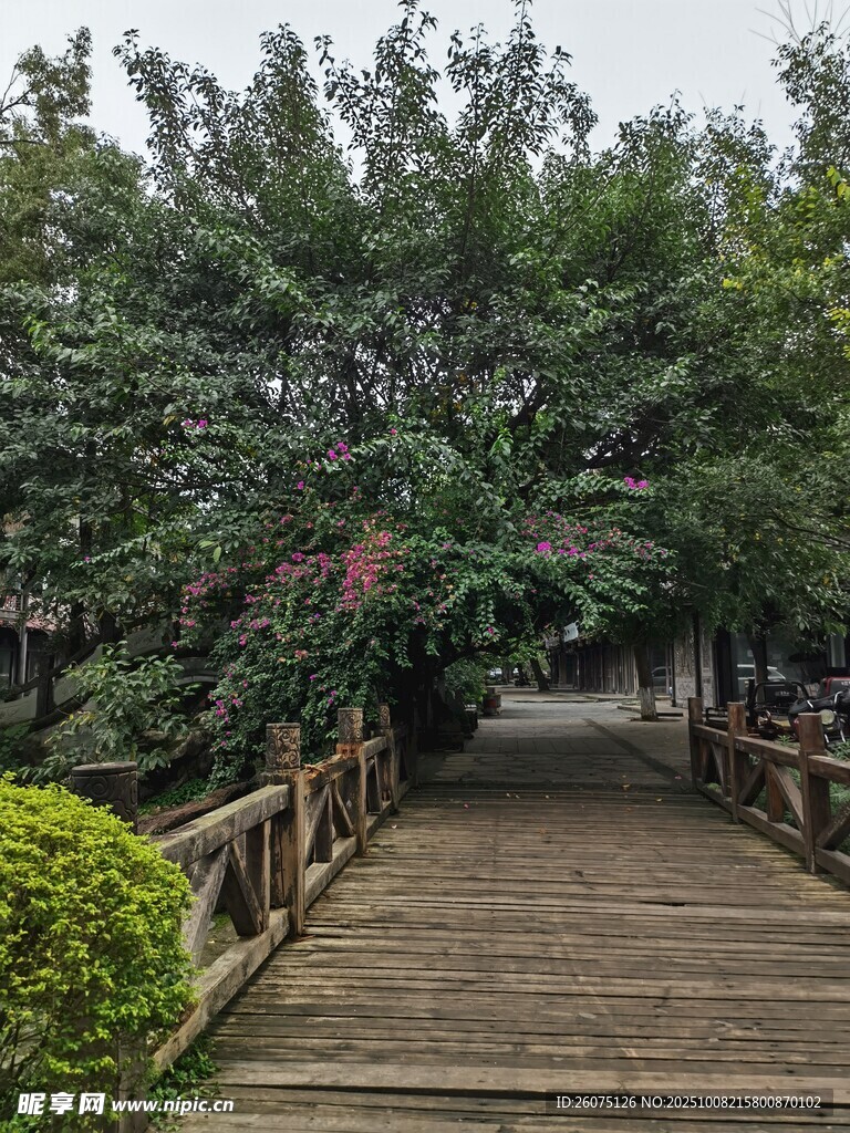 林间木栈道绿意盎然景致