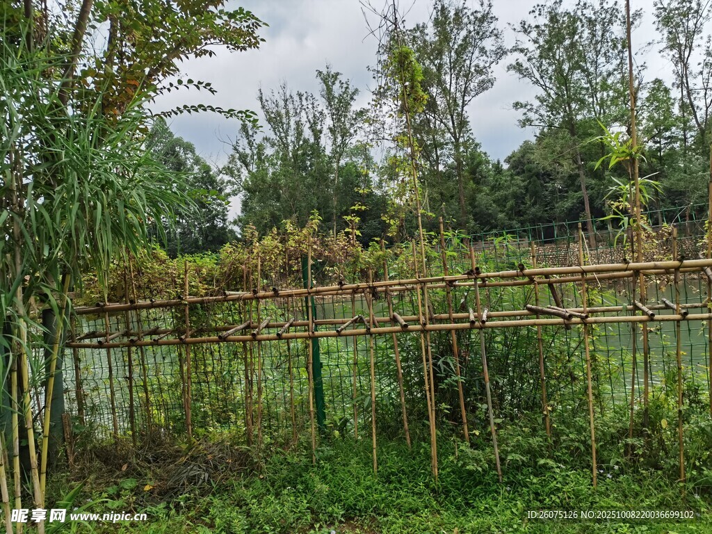 田园竹制围栏绿植景观