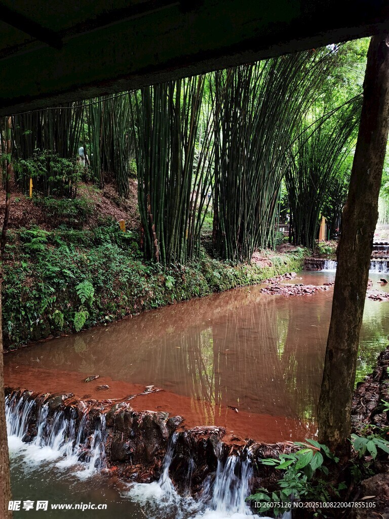 竹林间潺潺溪流美景