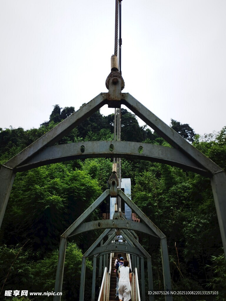 悬索桥横跨绿意山林
