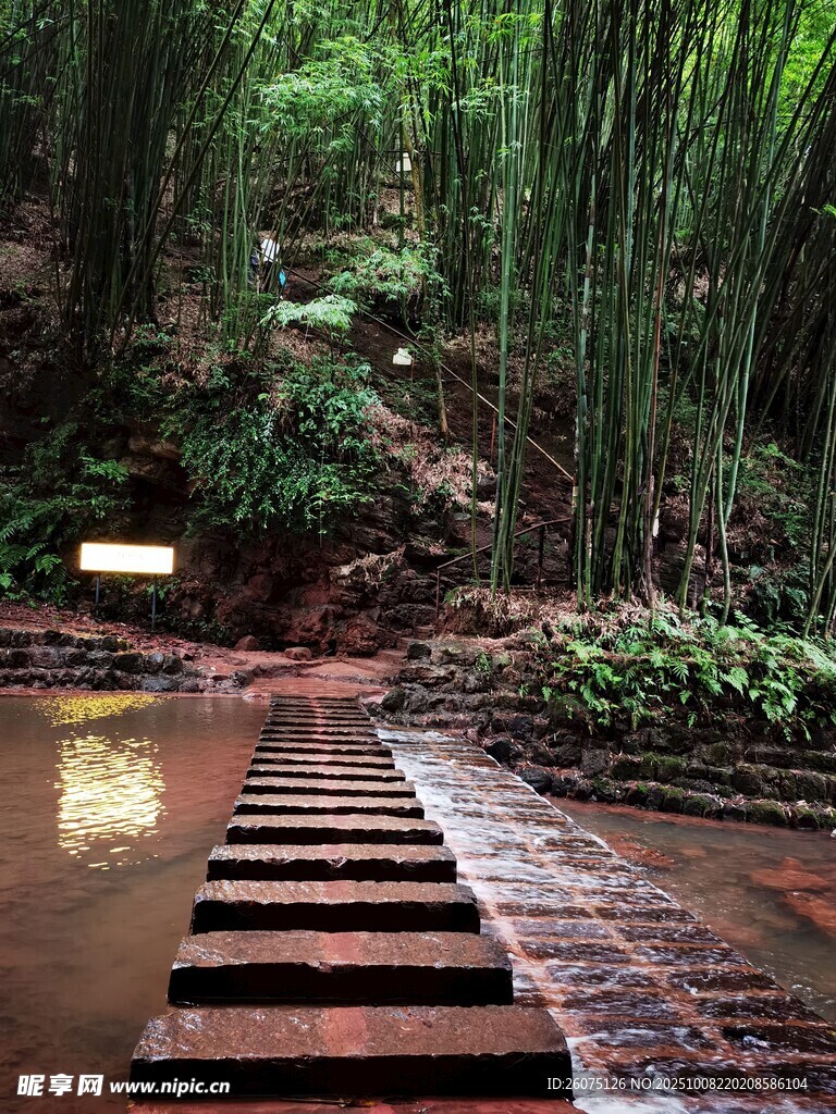 竹林中的石阶步道景观