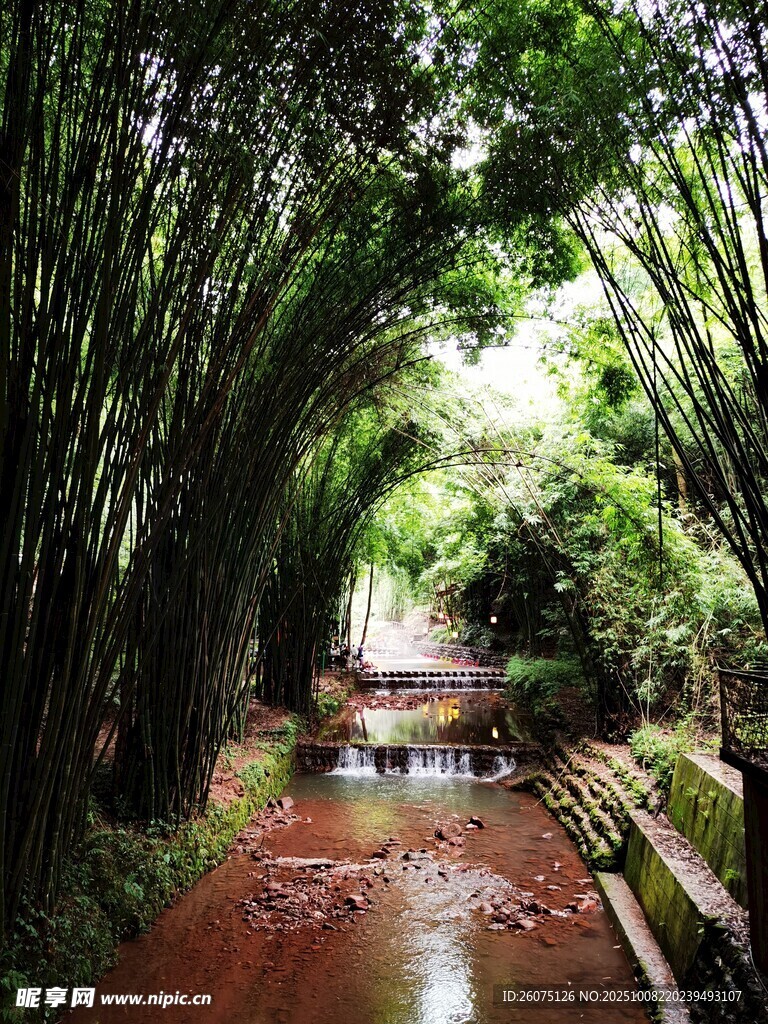 竹林间的幽静泥泞小道