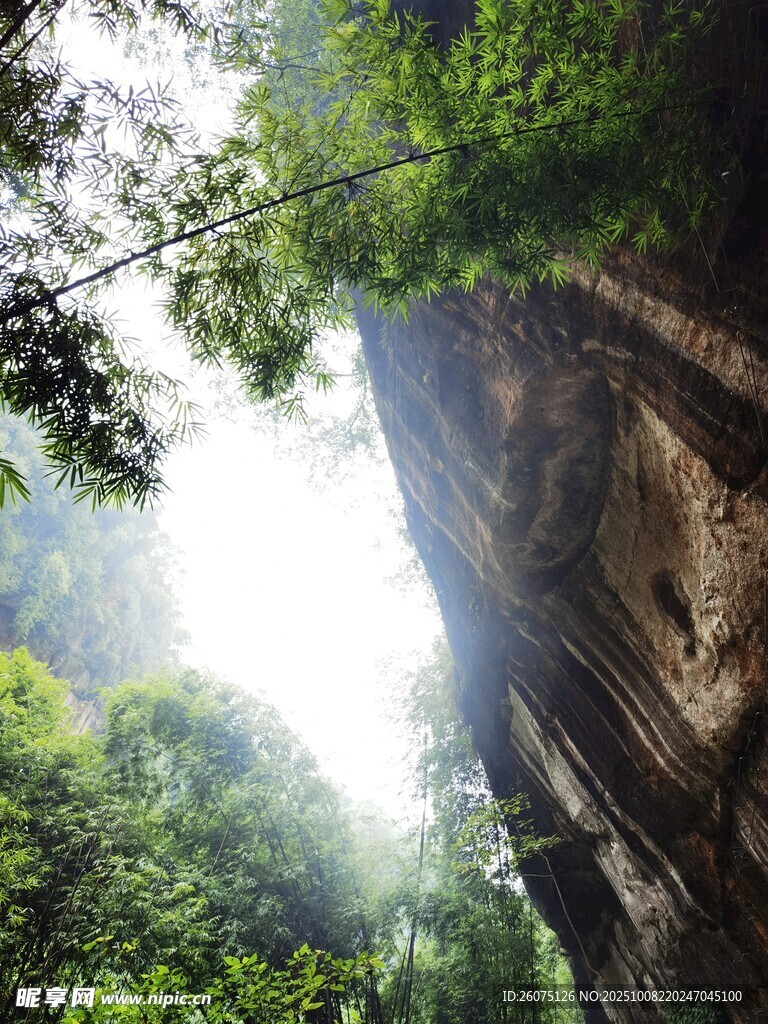 山间峭壁旁的葱郁绿意