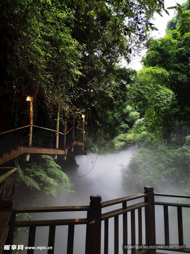 林间雾绕栈道清幽景致