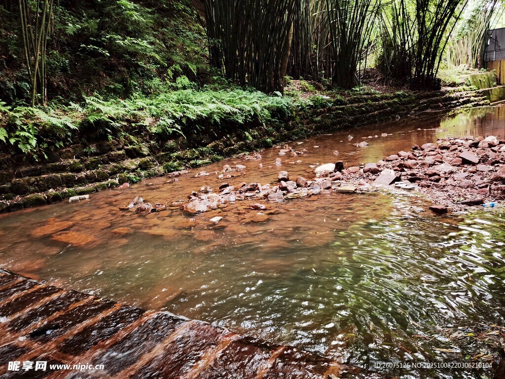 山间溪流岩石与绿植相伴