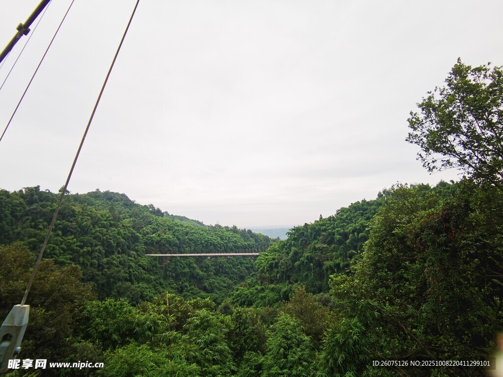山林间的高空索道景观